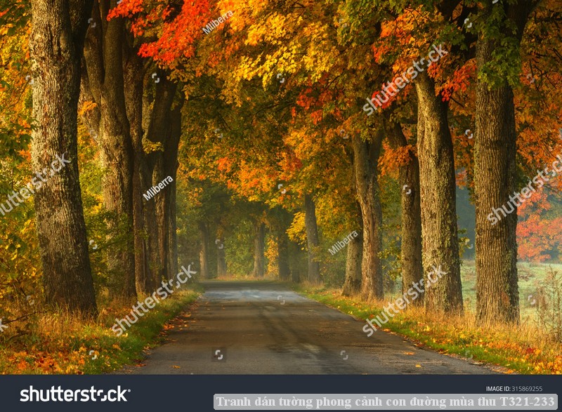 Tranh dán tường phong cảnh con đường mùa thu T321-233